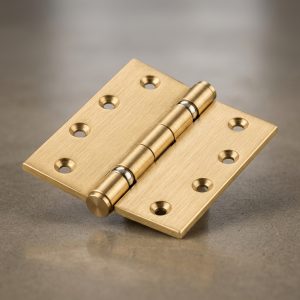 Solid Brass Door Hinge